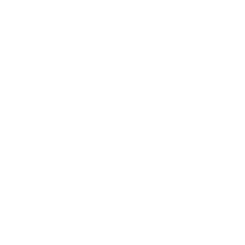 conexus